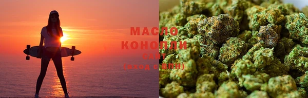 сатива Пересвет