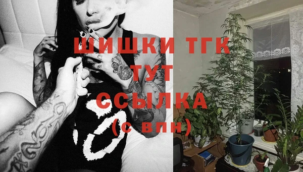 сатива Пересвет