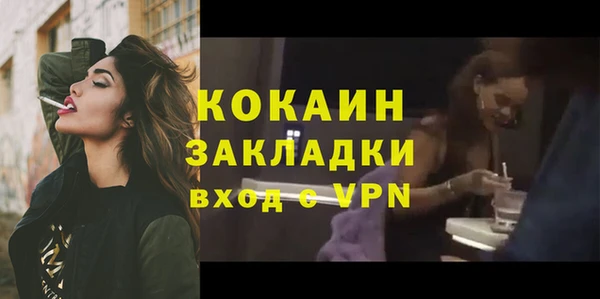 сатива Пересвет