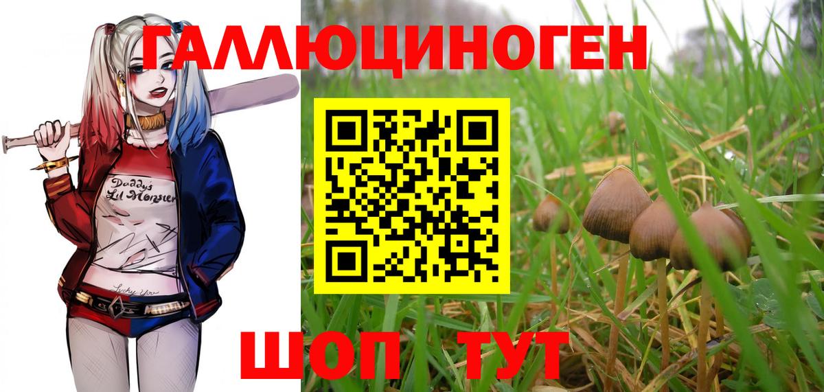 где можно купить   Псилоцибиновые грибы Magic Shrooms  Вход с VPN  Алейск  Галлюциногенные грибы MAGIC MUSHROOMS 